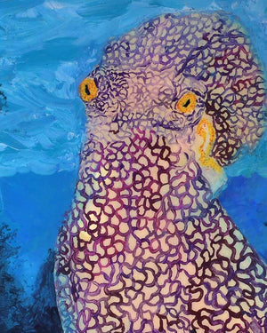 Octopus | Limited Edition Fine Art Prints